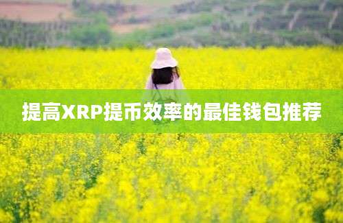 提高XRP提币效率的最佳钱包推荐