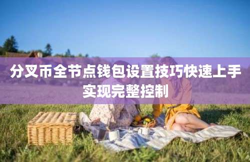 分叉币全节点钱包设置技巧快速上手实现完整控制