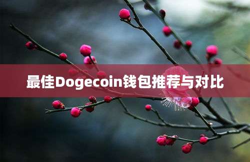 最佳Dogecoin钱包推荐与对比