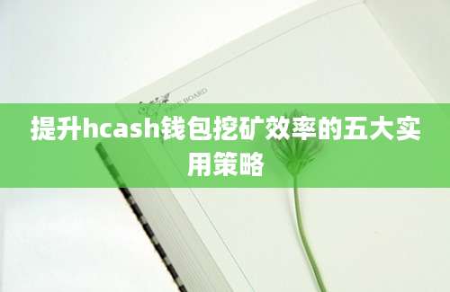 提升hcash钱包挖矿效率的五大实用策略