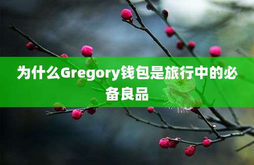 为什么Gregory钱包是旅行中的必备良品