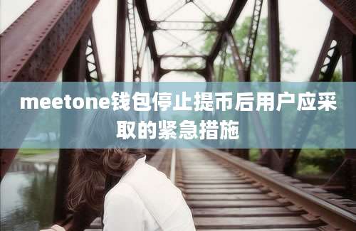 meetone钱包停止提币后用户应采取的紧急措施