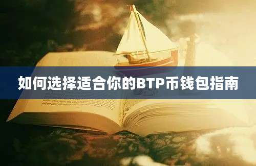 如何选择适合你的BTP币钱包指南