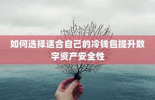 如何选择适合自己的冷钱包提升数字资产安全性