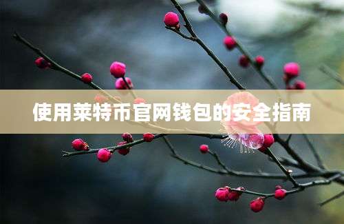 使用莱特币官网钱包的安全指南