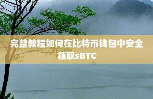 完整教程如何在比特币钱包中安全领取sBTC