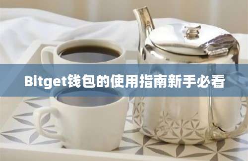 Bitget钱包的使用指南新手必看