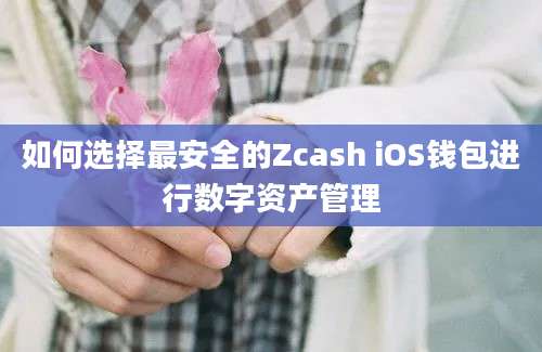 如何选择最安全的Zcash iOS钱包进行数字资产管理