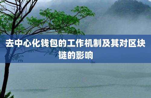 去中心化钱包的工作机制及其对区块链的影响