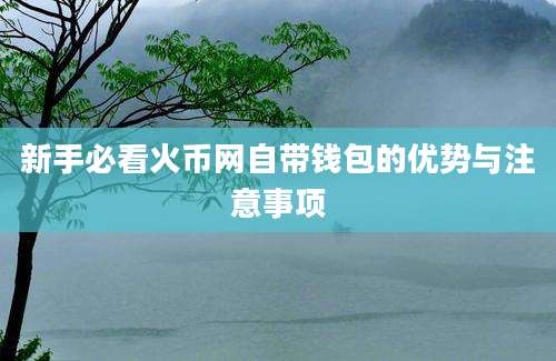 新手必看火币网自带钱包的优势与注意事项