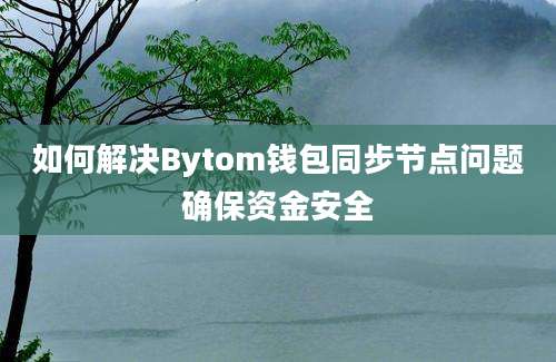 如何解决Bytom钱包同步节点问题确保资金安全