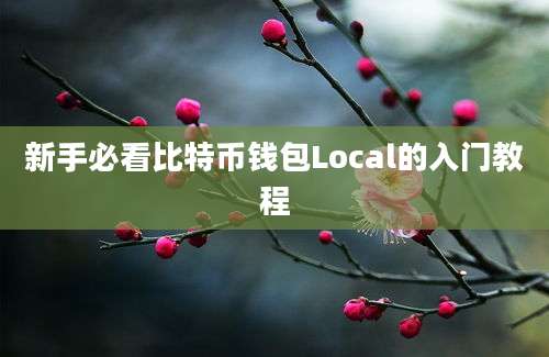 新手必看比特币钱包Local的入门教程