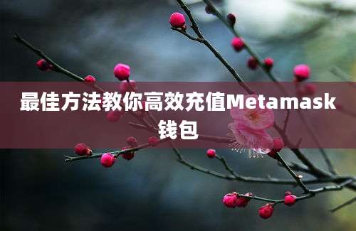 最佳方法教你高效充值Metamask钱包