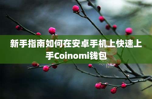 新手指南如何在安卓手机上快速上手Coinomi钱包