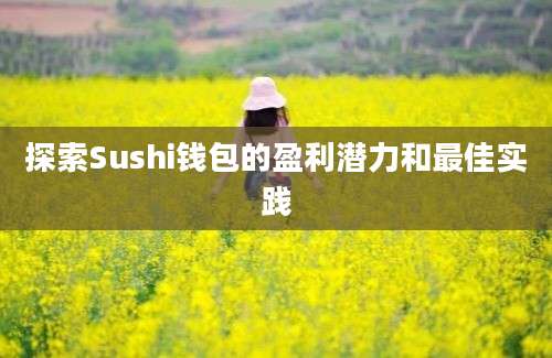 探索Sushi钱包的盈利潜力和最佳实践