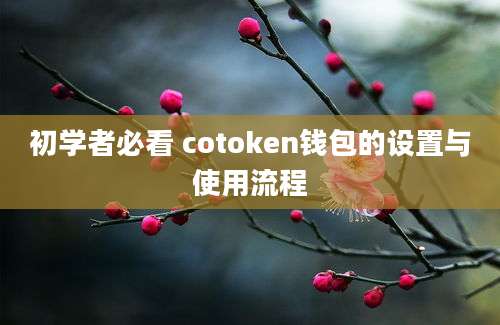 初学者必看 cotoken钱包的设置与使用流程