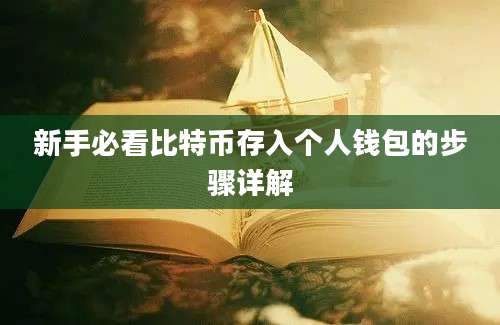 新手必看比特币存入个人钱包的步骤详解