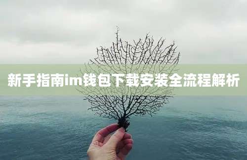 新手指南im钱包下载安装全流程解析