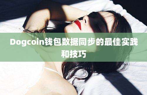 Dogcoin钱包数据同步的最佳实践和技巧