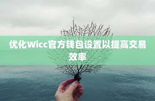 优化Wicc官方钱包设置以提高交易效率