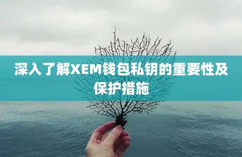 深入了解XEM钱包私钥的重要性及保护措施