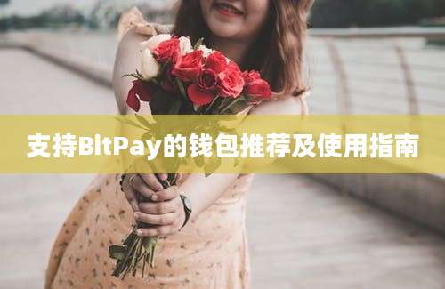 支持BitPay的钱包推荐及使用指南