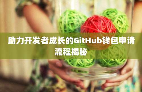 助力开发者成长的GitHub钱包申请流程揭秘