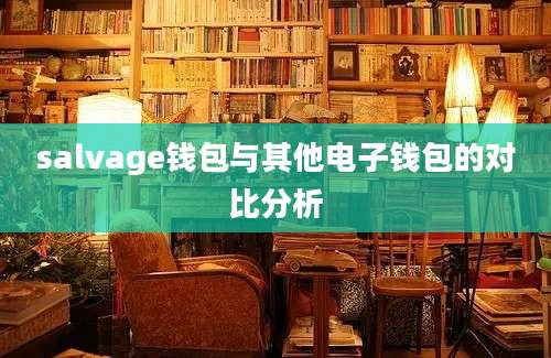 salvage钱包与其他电子钱包的对比分析