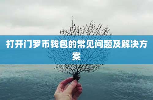 打开门罗币钱包的常见问题及解决方案