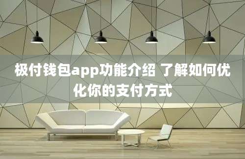 极付钱包app功能介绍 了解如何优化你的支付方式