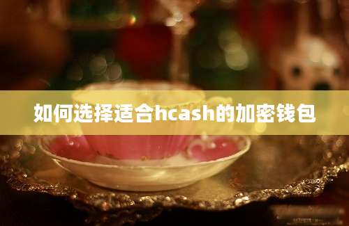 如何选择适合hcash的加密钱包