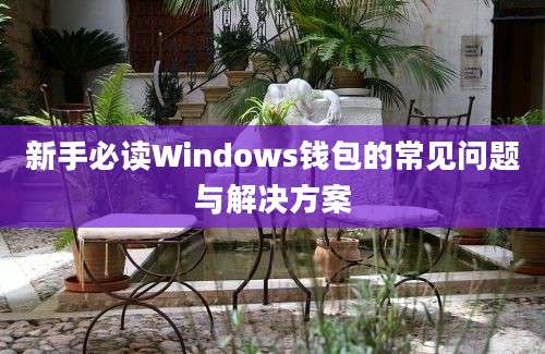 新手必读Windows钱包的常见问题与解决方案