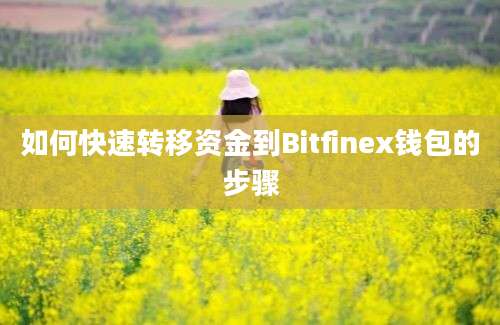 如何快速转移资金到Bitfinex钱包的步骤