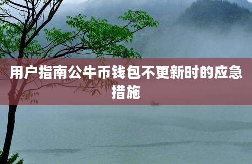 用户指南公牛币钱包不更新时的应急措施