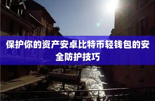 保护你的资产安卓比特币轻钱包的安全防护技巧