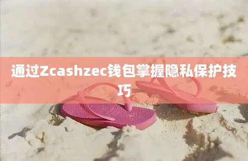 通过Zcashzec钱包掌握隐私保护技巧