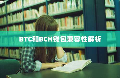 BTC和BCH钱包兼容性解析