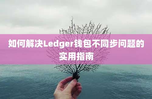 如何解决Ledger钱包不同步问题的实用指南