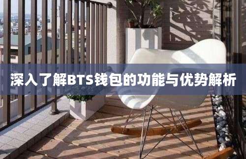 深入了解BTS钱包的功能与优势解析