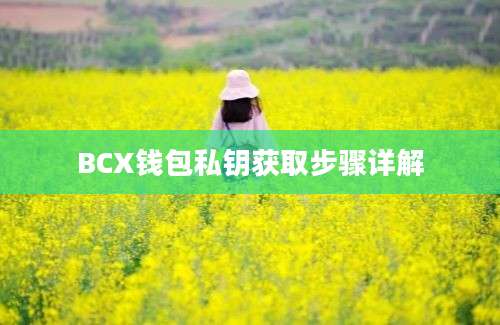 BCX钱包私钥获取步骤详解