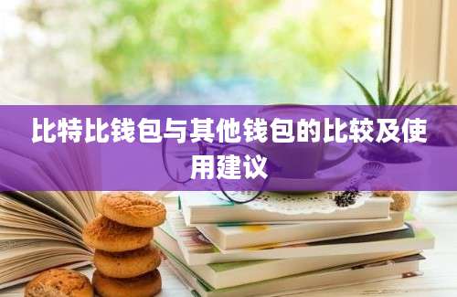 比特比钱包与其他钱包的比较及使用建议