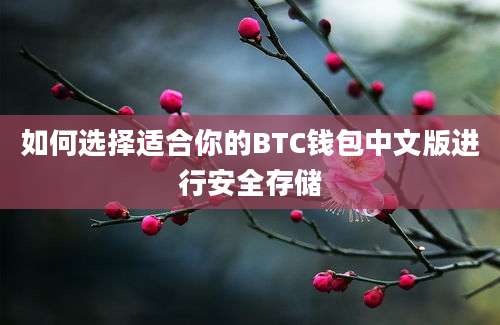 如何选择适合你的BTC钱包中文版进行安全存储