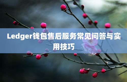 Ledger钱包售后服务常见问答与实用技巧