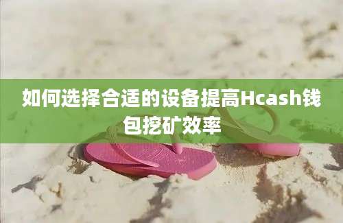 如何选择合适的设备提高Hcash钱包挖矿效率