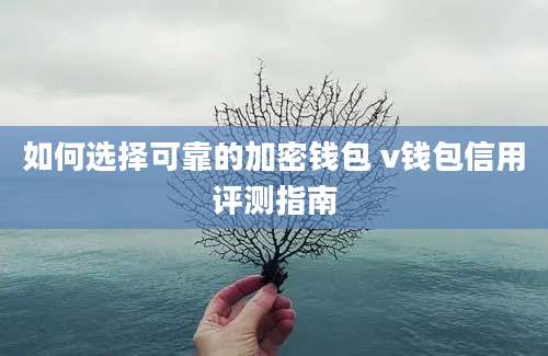 如何选择可靠的加密钱包 v钱包信用评测指南