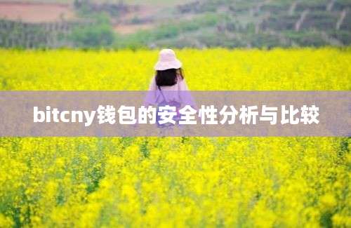 bitcny钱包的安全性分析与比较