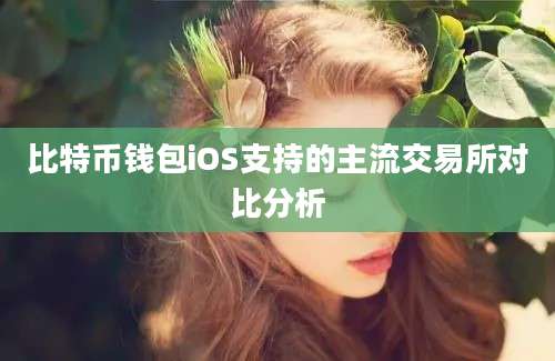 比特币钱包iOS支持的主流交易所对比分析