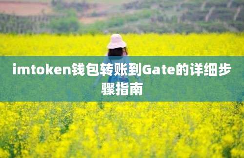 imtoken钱包转账到Gate的详细步骤指南