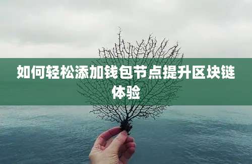 如何轻松添加钱包节点提升区块链体验