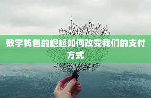 数字钱包的崛起如何改变我们的支付方式